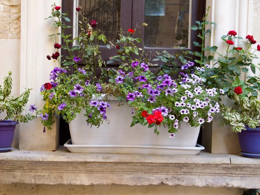 B&B Corte Dell' Idume Lecce